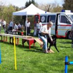 spielefest_2018 (17)